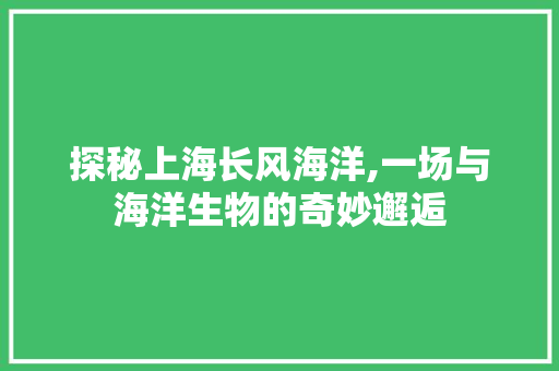 探秘上海长风海洋,一场与海洋生物的奇妙邂逅