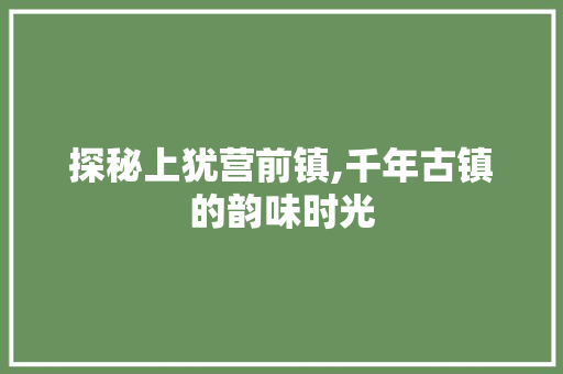 探秘上犹营前镇,千年古镇的韵味时光