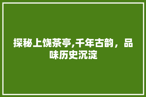 探秘上饶茶亭,千年古韵，品味历史沉淀