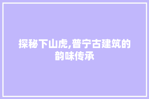 探秘下山虎,普宁古建筑的韵味传承