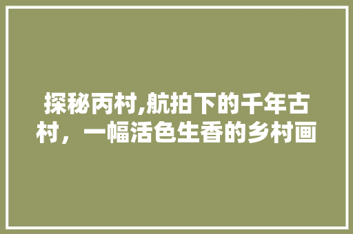 探秘丙村,航拍下的千年古村，一幅活色生香的乡村画卷