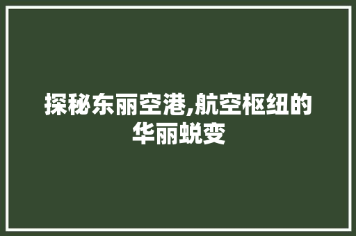 探秘东丽空港,航空枢纽的华丽蜕变