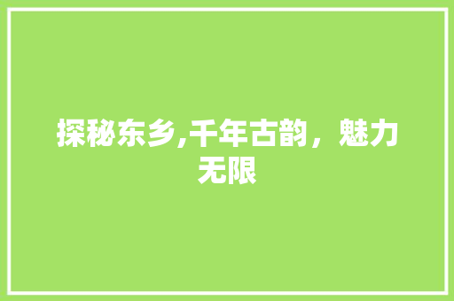 探秘东乡,千年古韵，魅力无限