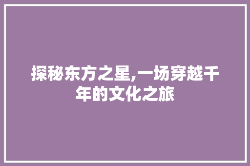 探秘东方之星,一场穿越千年的文化之旅