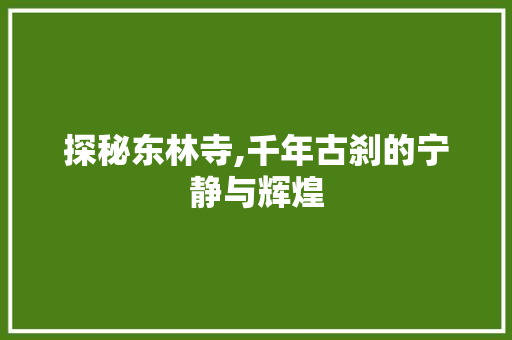 探秘东林寺,千年古刹的宁静与辉煌