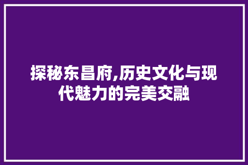 探秘东昌府,历史文化与现代魅力的完美交融