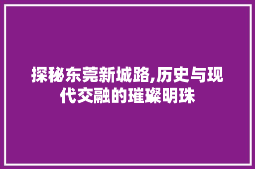 探秘东莞新城路,历史与现代交融的璀璨明珠