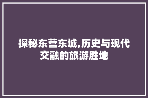 探秘东营东城,历史与现代交融的旅游胜地