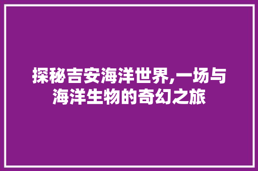 探秘吉安海洋世界,一场与海洋生物的奇幻之旅