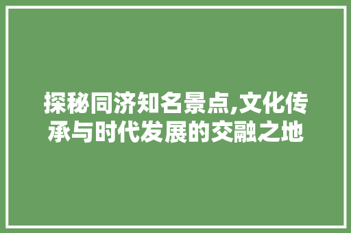 探秘同济知名景点,文化传承与时代发展的交融之地