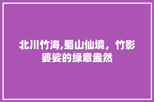 北川竹海,蜀山仙境，竹影婆娑的绿意盎然