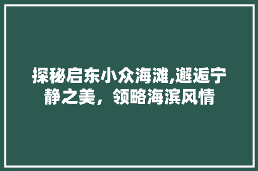 探秘启东小众海滩,邂逅宁静之美，领略海滨风情