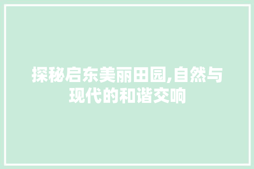 探秘启东美丽田园,自然与现代的和谐交响