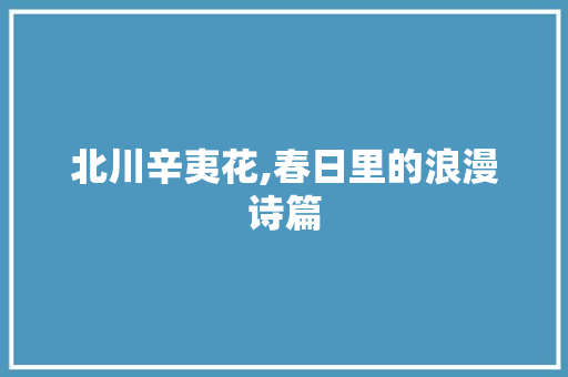 北川辛夷花,春日里的浪漫诗篇