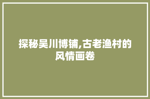 探秘吴川博铺,古老渔村的风情画卷