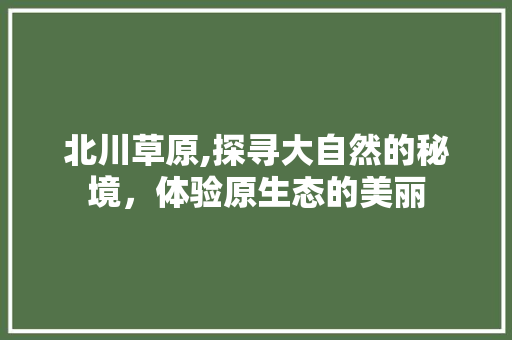 北川草原,探寻大自然的秘境，体验原生态的美丽