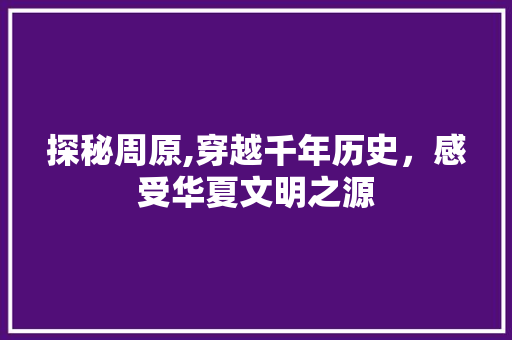 探秘周原,穿越千年历史，感受华夏文明之源