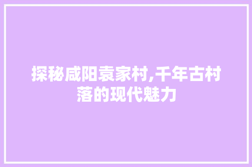 探秘咸阳袁家村,千年古村落的现代魅力