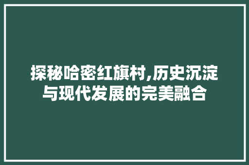 探秘哈密红旗村,历史沉淀与现代发展的完美融合  第1张