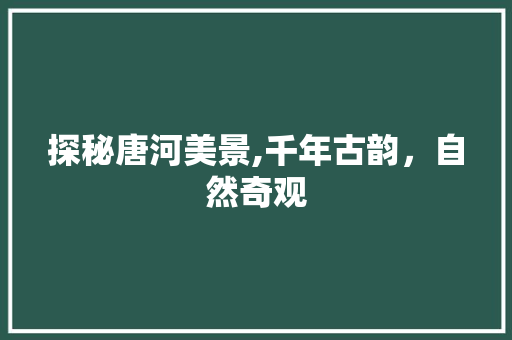 探秘唐河美景,千年古韵，自然奇观