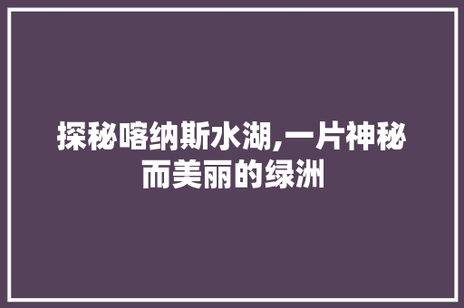 探秘喀纳斯水湖,一片神秘而美丽的绿洲