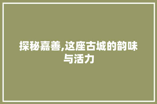 探秘嘉善,这座古城的韵味与活力