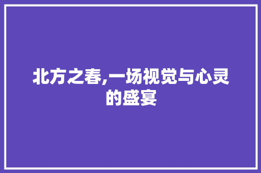 北方之春,一场视觉与心灵的盛宴  第1张