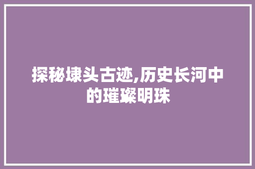 探秘埭头古迹,历史长河中的璀璨明珠