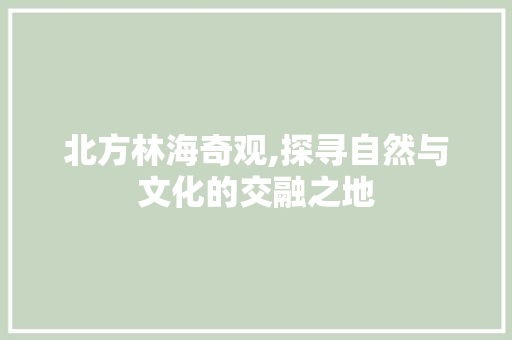 北方林海奇观,探寻自然与文化的交融之地