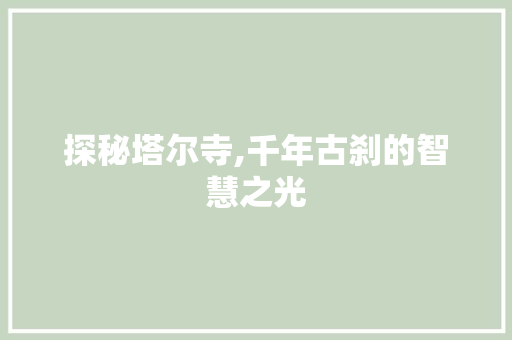 探秘塔尔寺,千年古刹的智慧之光