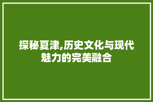 探秘夏津,历史文化与现代魅力的完美融合