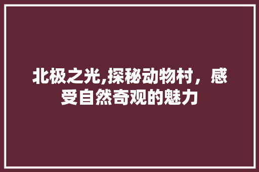 北极之光,探秘动物村，感受自然奇观的魅力