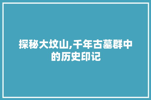 探秘大坟山,千年古墓群中的历史印记