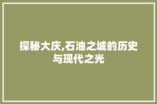 探秘大庆,石油之城的历史与现代之光