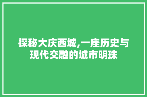 探秘大庆西城,一座历史与现代交融的城市明珠