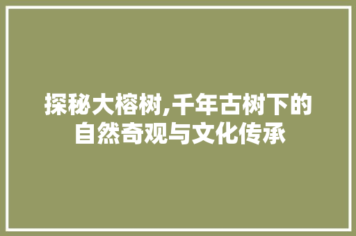 探秘大榕树,千年古树下的自然奇观与文化传承