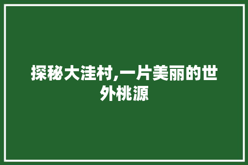 探秘大洼村,一片美丽的世外桃源