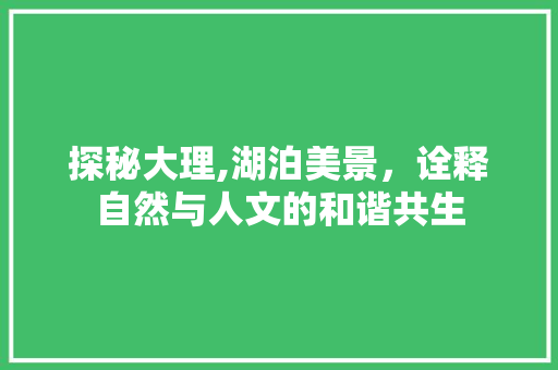 探秘大理,湖泊美景，诠释自然与人文的和谐共生