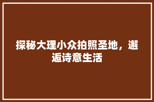 探秘大理小众拍照圣地，邂逅诗意生活