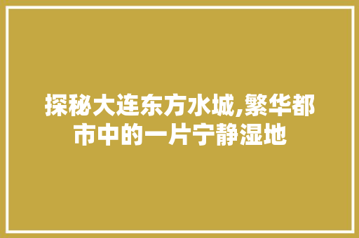 探秘大连东方水城,繁华都市中的一片宁静湿地