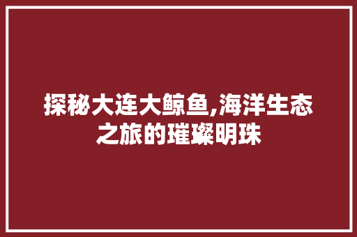 探秘大连大鲸鱼,海洋生态之旅的璀璨明珠