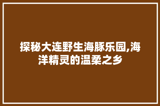 探秘大连野生海豚乐园,海洋精灵的温柔之乡