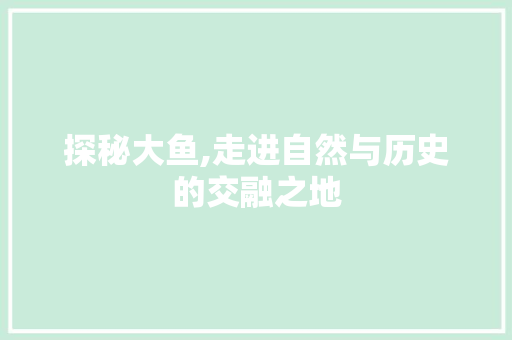 探秘大鱼,走进自然与历史的交融之地