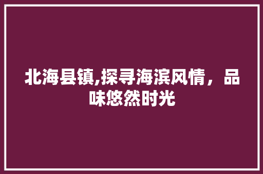 北海县镇,探寻海滨风情，品味悠然时光  第1张