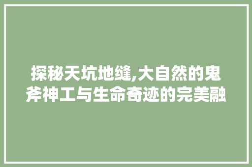 探秘天坑地缝,大自然的鬼斧神工与生命奇迹的完美融合