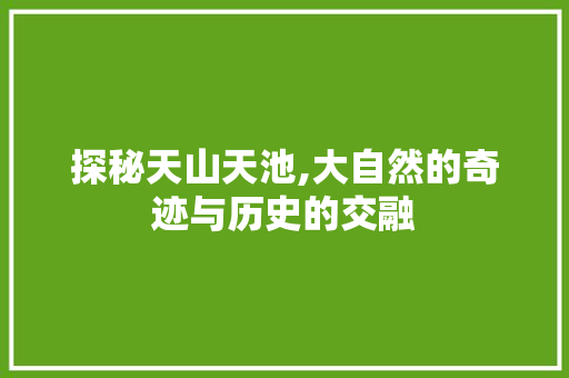 探秘天山天池,大自然的奇迹与历史的交融