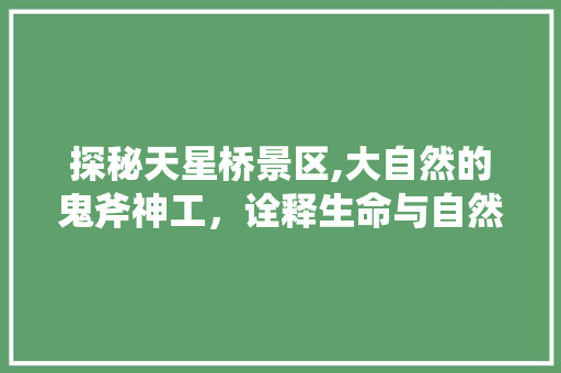 探秘天星桥景区,大自然的鬼斧神工，诠释生命与自然的和谐共生