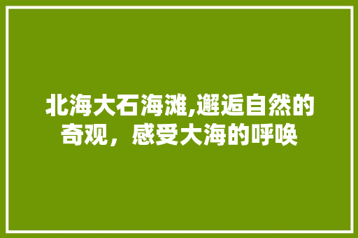 北海大石海滩,邂逅自然的奇观，感受大海的呼唤