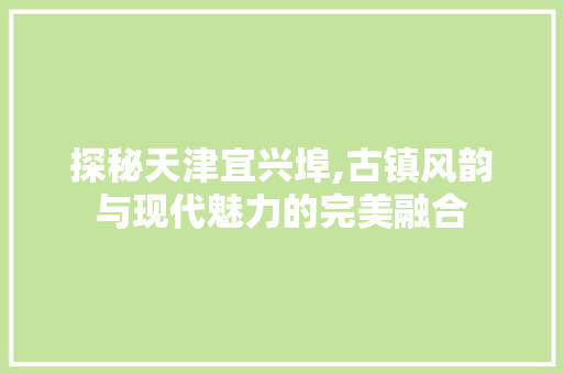 探秘天津宜兴埠,古镇风韵与现代魅力的完美融合