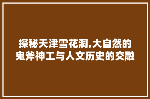 探秘天津雪花洞,大自然的鬼斧神工与人文历史的交融之地